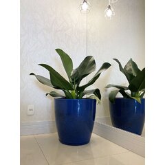 Wayfair | Planter & Flower Pots